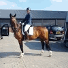 KIM DE LAAT SPORTHORSES