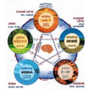 DETOXIKACE ORGANISMU JOALIS