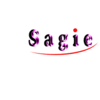 SAGIE SA