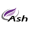 ASH TECHNOLOGIES