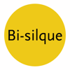 BI-SILQUE, PRODUTOS DE COMUNICAÇAO VISUAL, S.A.