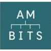 AM-BITS LLC