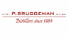 BRUGGEMAN P