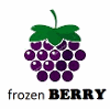 FROZEN BERRY LLC