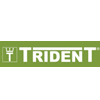 TRIDENT