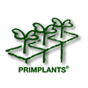 PRIMPLANTS SA