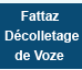 DECOLLETAGE DE VOZERIER ETABLISSEMENTS FATTAZ