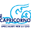 IL CAPRICORNO SRL