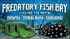 PREDATORY FISH BAY