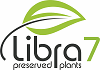 LIBRA 7