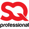 SQ PROFESSIONAL LTD