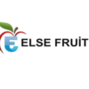 ELSE FRUIT