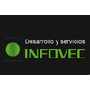 DESARROLLO Y SERVICIOS INFOVEC S.L