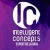 INTELLIGENT CONCEPTS