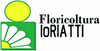 FLORICOLTURA IORIATTI