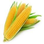 Corn