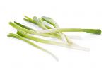 Spring Onion