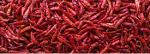 Dried Red Chilli