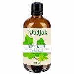 Ivy extract (Hedera helix) 100 ml.