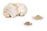 Lion's mane (Hericium) extract, powder and capsules