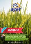 DARDO RİCE SEEDS