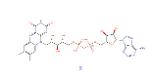 Flavin adenine dinucleotide disodium (FAD disodium)