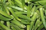 Okra