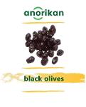 Maroli Olives - Bulk Table Olives Manufacturer in Turkey, Olive Supplier in  Turkey.