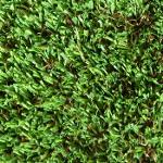 Artificial grass