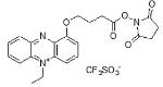 Amine-reactive PES