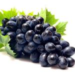 Grape Seed CO2 Extract (Vitis Vinifera)