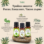 Triple protection: oregano, eucalyptus, tea tree (3*10 ml)