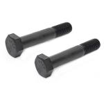 Hex Bolts