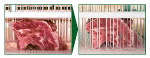 Injection agent for meat and fish