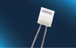 temp-sensor - Pt100 (202) class F0.15 with Pt/Ni wire 600°C