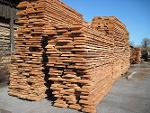 Unedged Beech lumber