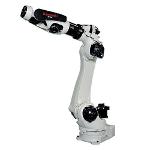 Articulated robot - BX165L