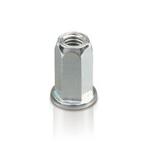 Hexagonal Blind Rivet Nuts Open-end Cylindrical Head Ftte - Steel