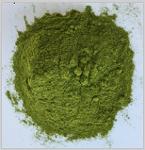 Bay leaves powder