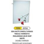 7293 MIRROR FOR DISABLED