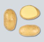 Potatoes - Yellow skin