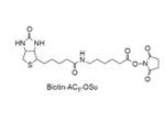 Biotin-AC5-OSU