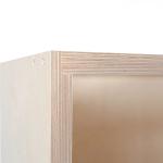 BIRCH PLYWOOD KITCHEN CABINETS