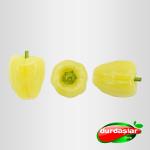 Bianca Yellow Pepper 