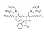 Cellstain-Double Staining Kit