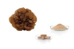 Maitake extract, powder and capsules