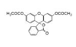 Cellstain-FDA