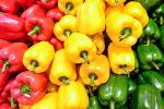 Fresh Peppers