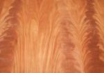 decorative veneers plywood