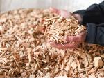 Alder Wood Chips